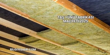 Taş Yünü Fabrikası Maliyeti 2025