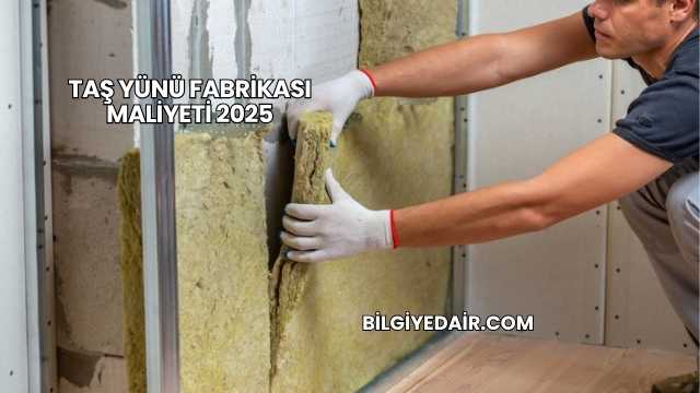 Taş Yünü Fabrikası Maliyeti 2025