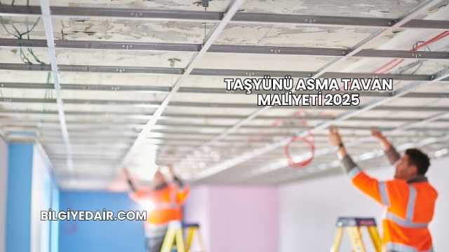 Taşyünü Asma Tavan Maliyeti 2025