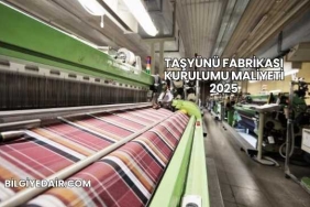 Taşyünü Fabrikası Kurulumu Maliyeti 2025