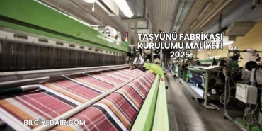 Taşyünü Fabrikası Kurulumu Maliyeti 2025