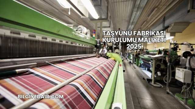 Taşyünü Fabrikası Kurulumu Maliyeti 2025