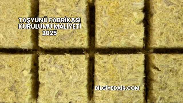 Taşyünü Fabrikası Kurulumu Maliyeti 2025