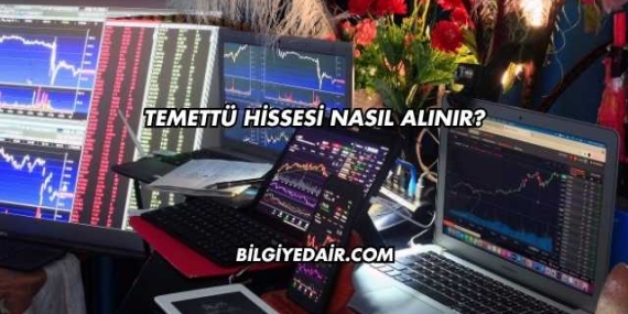 Temettü Hissesi Nasıl Alınır?