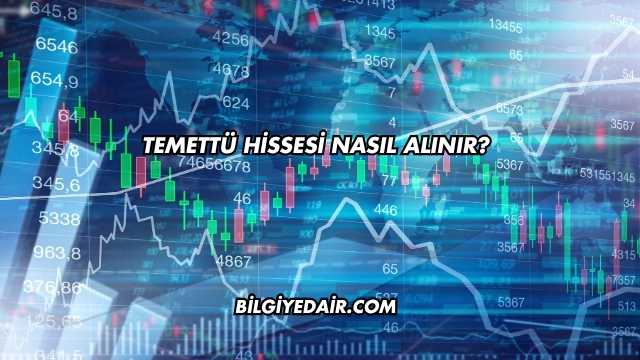 Temettü Hissesi Nasıl Alınır?