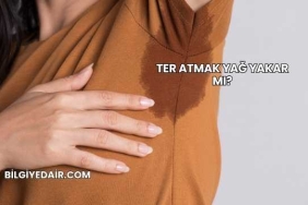 Ter Atmak Yağ Yakar mı?