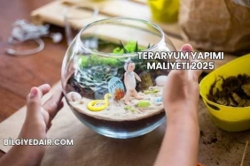 Teraryum Yapımı Maliyeti 2025