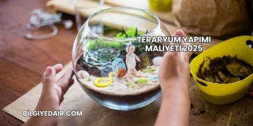 Teraryum Yapımı Maliyeti 2025