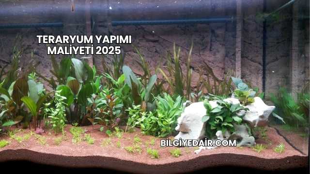 Teraryum Yapımı Maliyeti 2025