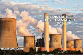 Termik Santral Kurulum Maliyeti 2025