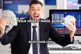 Tesla Hissesi Nasıl Alınır?