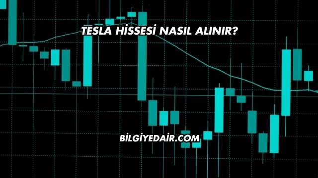 Tesla Hissesi Nasıl Alınır?