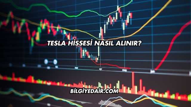 Tesla Hissesi Nasıl Alınır?