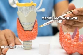 Tiroid İlacı Zayıflatır mı?