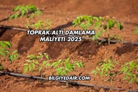 Toprak Altı Damlama Maliyeti 2025