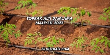 Toprak Altı Damlama Maliyeti 2025