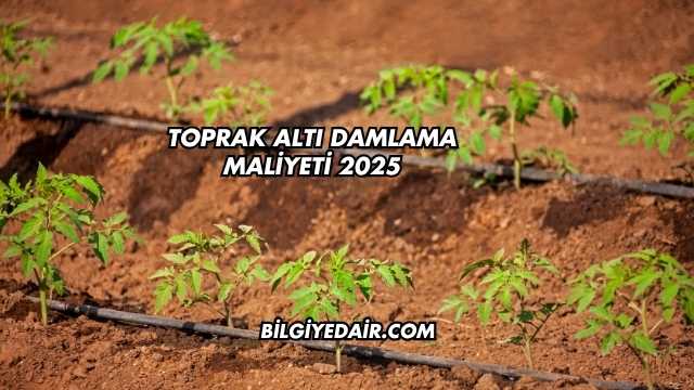 Toprak Altı Damlama Maliyeti 2025