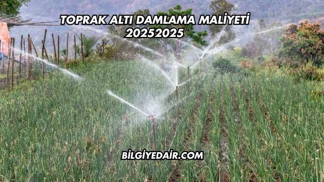 Toprak Altı Damlama Maliyeti 2025