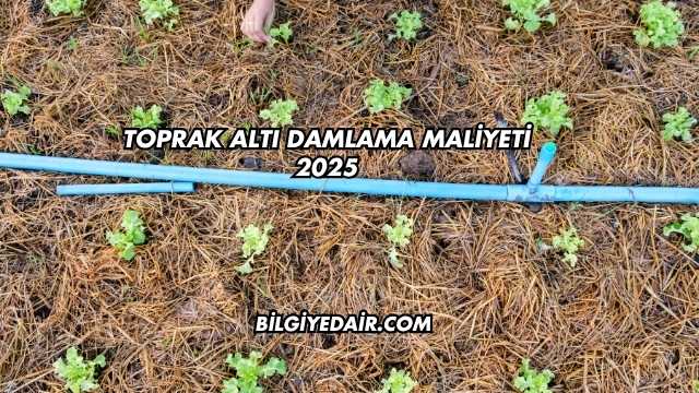 Toprak Altı Damlama Maliyeti 2025