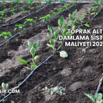 Toprak Altı Damlama Sistemi Maliyeti 2025