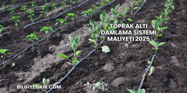 Toprak Altı Damlama Sistemi Maliyeti 2025