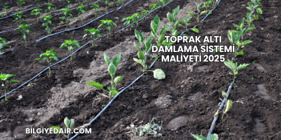 Toprak Altı Damlama Sistemi Maliyeti 2025