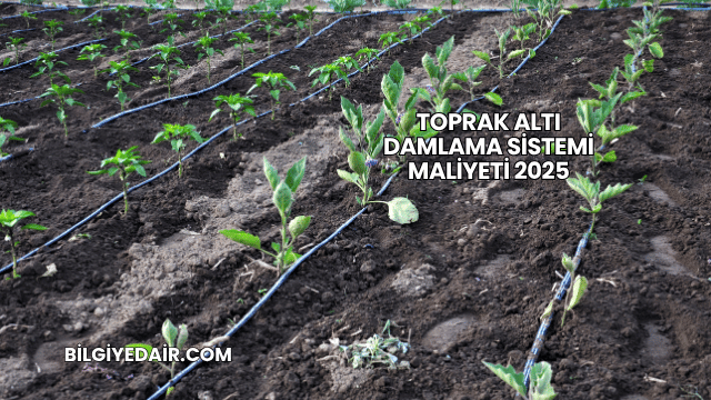 Toprak Altı Damlama Sistemi Maliyeti 2025