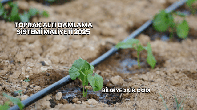 Toprak Altı Damlama Sistemi Maliyeti 2025
