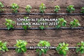 Toprak Altı Damlama Sulama Maliyeti 2025