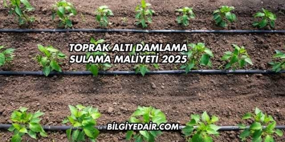 Toprak Altı Damlama Sulama Maliyeti 2025