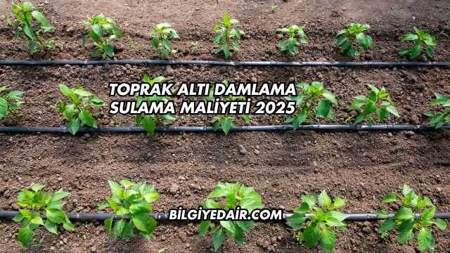 Toprak Altı Damlama Sulama Maliyeti 2025