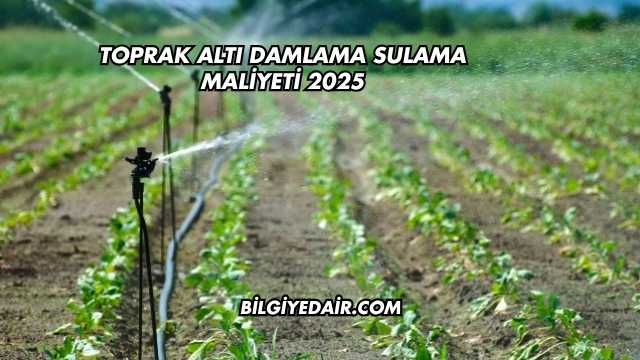 Toprak Altı Damlama Sulama Maliyeti 2025