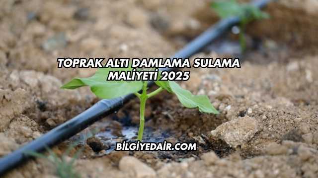 Toprak Altı Damlama Sulama Maliyeti 2025