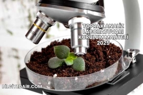 Toprak Analiz Laboratuvarı Kurulum Maliyeti 2025