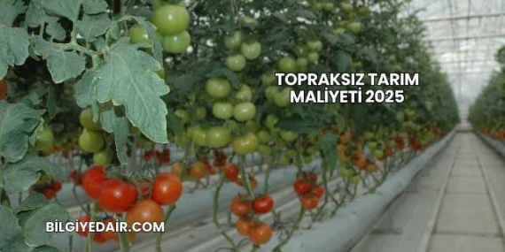 Topraksız Tarım Maliyeti 2025