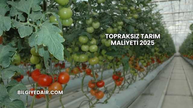 Topraksız Tarım Maliyeti 2025