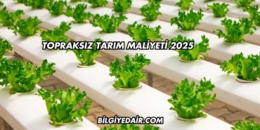 Topraksız Tarım Maliyeti 2025