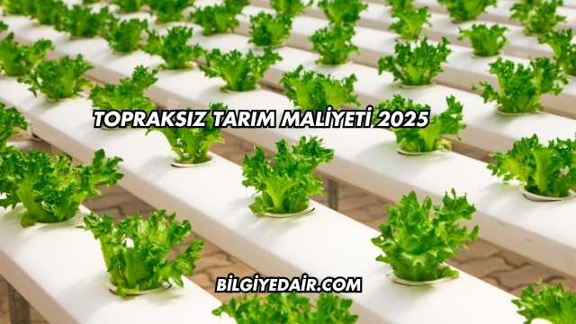 Topraksız Tarım Maliyeti 2025
