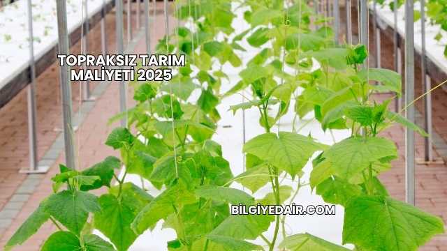 Topraksız Tarım Maliyeti 2025