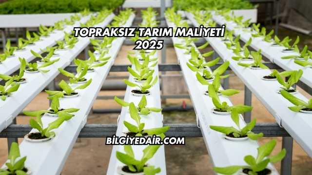 Topraksız Tarım Maliyeti 2025