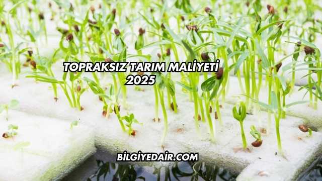 Topraksız Tarım Maliyeti 2025