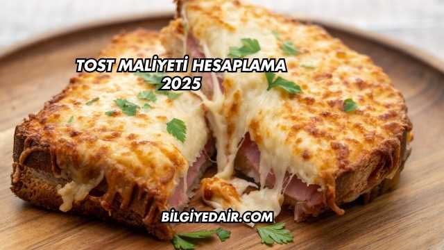 Tost Maliyeti Hesaplama 2025
