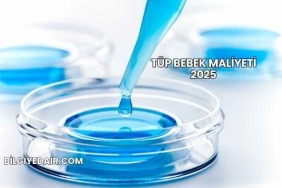 Tüp Bebek Maliyeti 2025