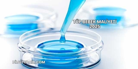 Tüp Bebek Maliyeti 2025