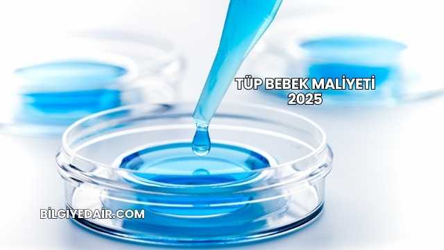 Tüp Bebek Maliyeti 2025