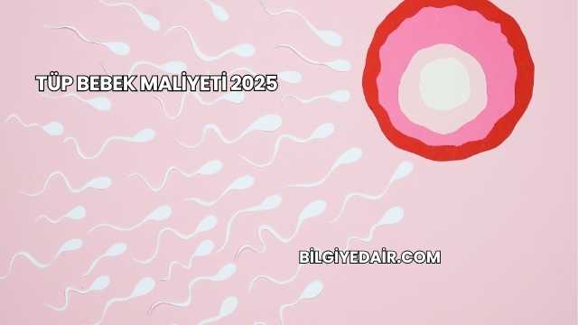 Tüp Bebek Maliyeti 2025