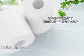 Tuvalet Kağıdı Üretimi Maliyeti 2025