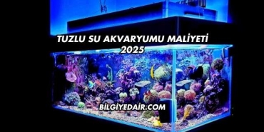 Tuzlu Su Akvaryumu Maliyeti 2025
