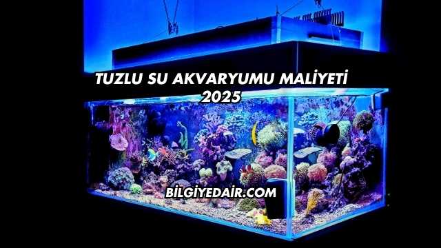 Tuzlu Su Akvaryumu Maliyeti 2025