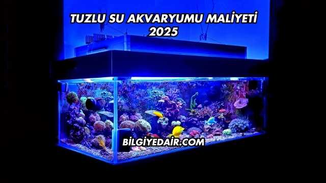 Tuzlu Su Akvaryumu Maliyeti 2025